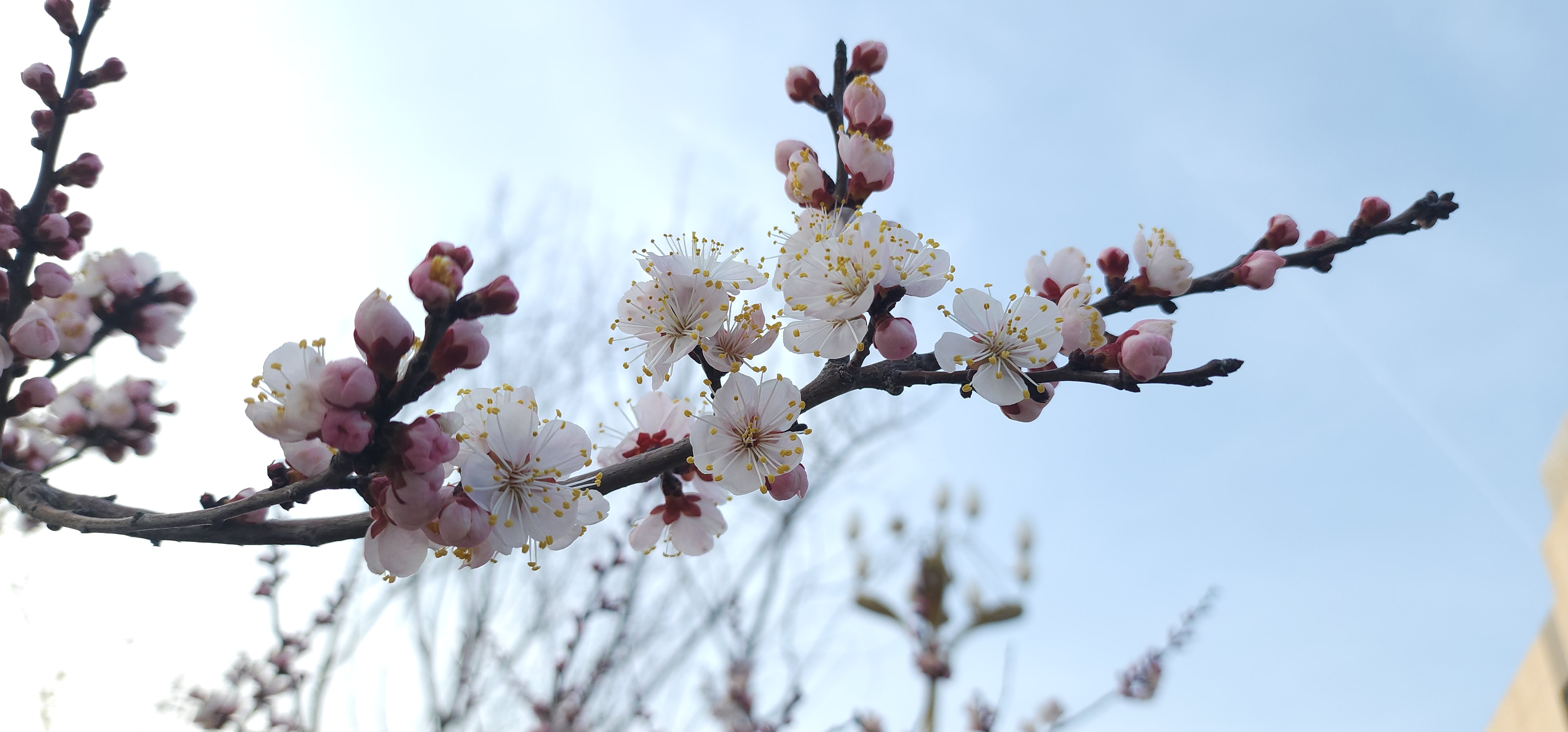 拍摄时间2025-3-18，使用设备索尼A6400